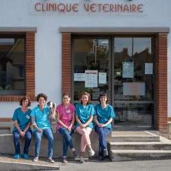 Equipe clinique vétérinaire Amyot en Normandie