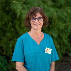 Sonia, assistante clinique vétérinaire amyot